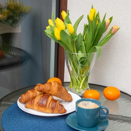 Maya's Flats & 51 - Aura 40 *